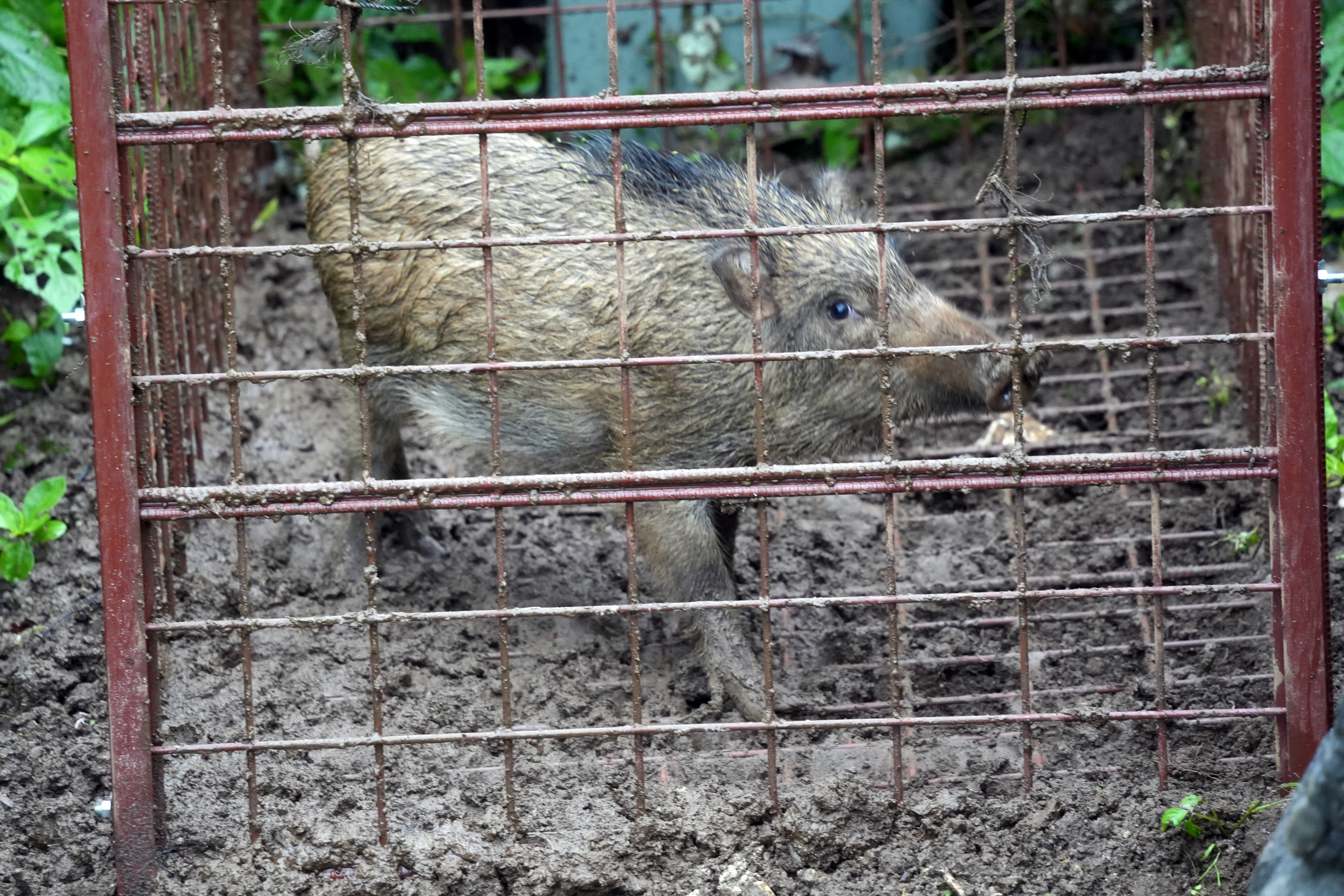 週末ハンティング