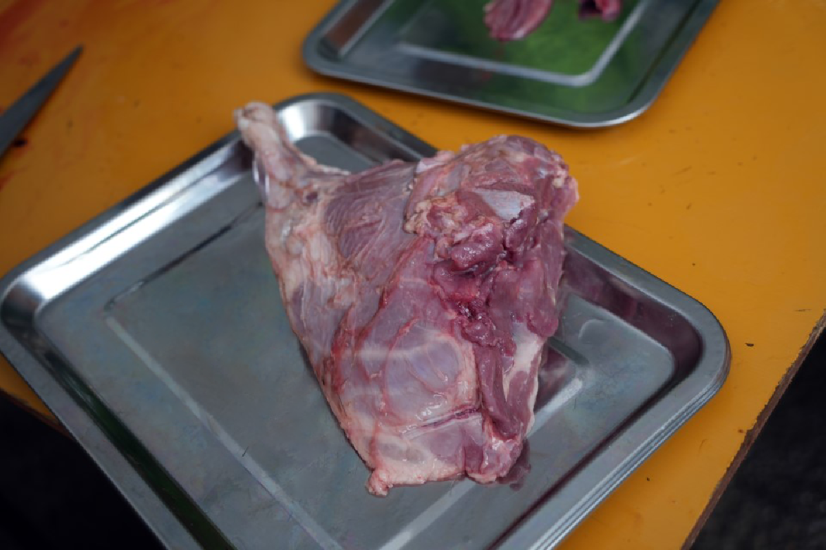 週末ハンティング