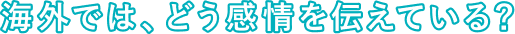 海外では、どう感情を伝えている？